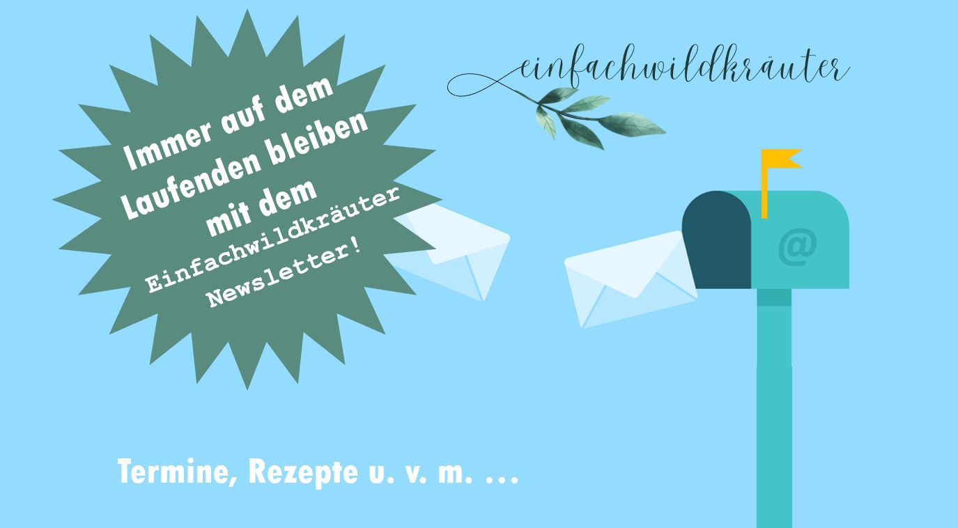 Jetzt zum Newsletter anmelden