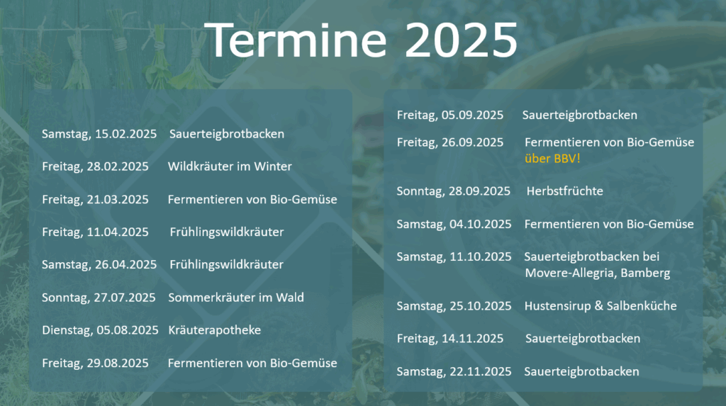Termine 2025 ergänzt