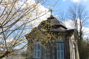 Kornelkirsche vor einem Pavillon